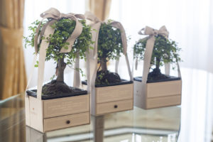 matrimonio natural chic